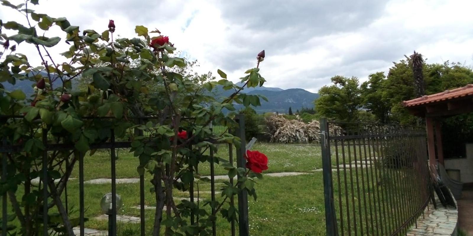 Villa Anna Leptokaryá Luaran gambar